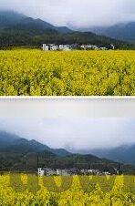 乐鱼体育官方进8O5三5-乐鱼体育官方平台，重塑竞技观赏体验与互动新纪元